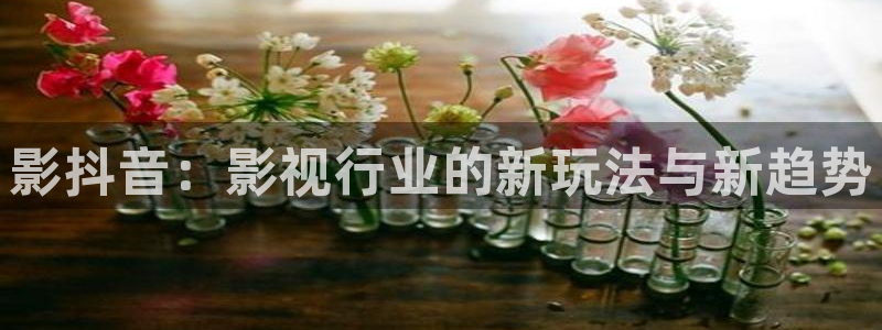 6080网址