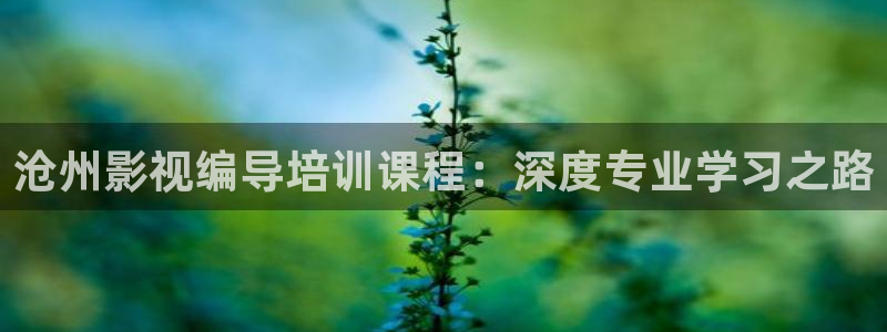 yy6080久久国产