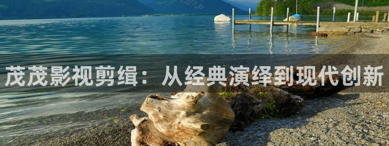 新视觉6080电影免费观看高清
